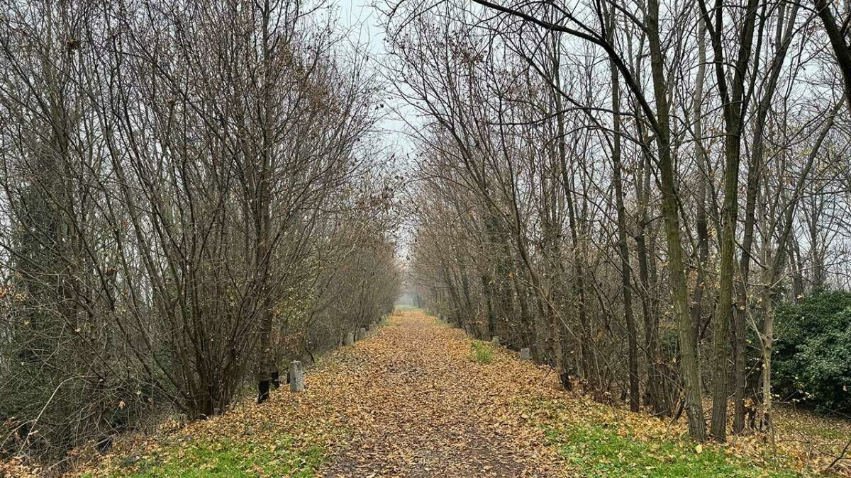 Imagem principal de Troquei o Jeep por um par de botas — mas o off-road continua (nem que seja a pé!)